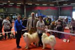 Meilleur de Race Pontoise 2015